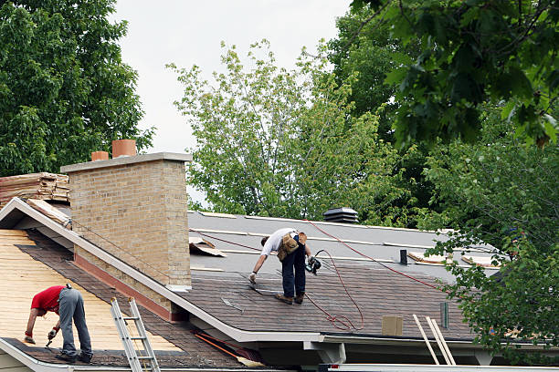 Best Roof Repair Services  in West Branch, MI