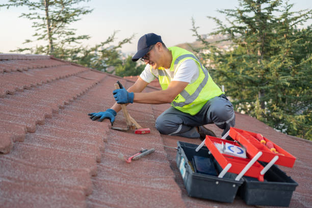 Best Storm Damage Roof Repair  in West Branch, MI