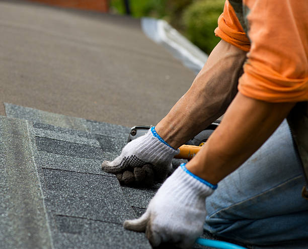 Best Shingle Roofing Installation  in West Branch, MI