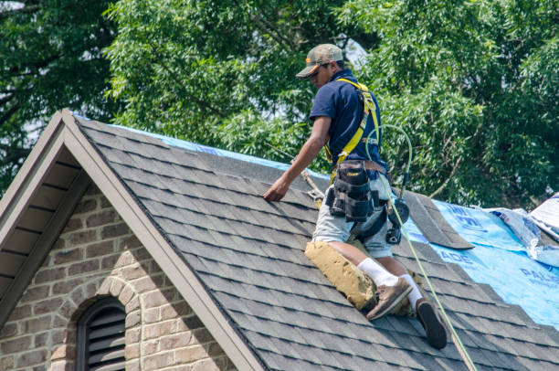 Best Roof Maintenance Services  in West Branch, MI